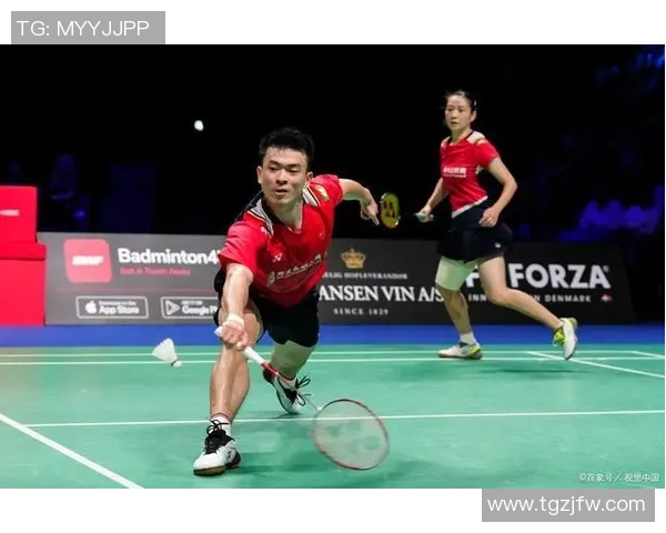 南京羽毛球队战术解析与对比研究揭示竞技优势与不足之处